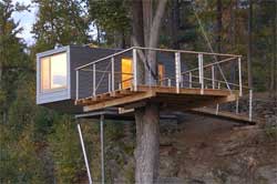 cabane design baumraum