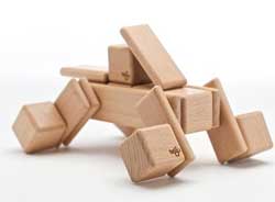 blocks tegu